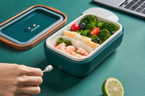 can you put an electric lunch box in the fridge|is an electric lunch box safe.